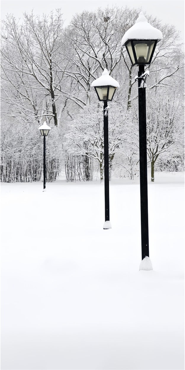 Winter Snowy Sweep Street Lamp Scene Backdrop BRP10-519