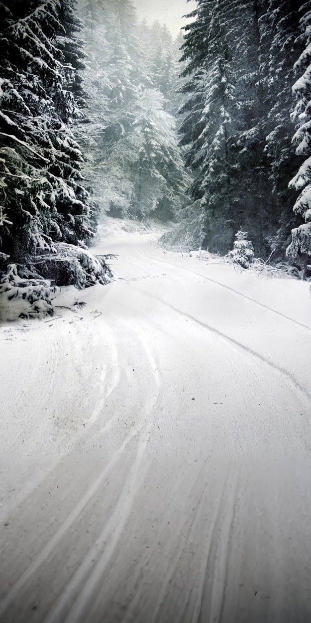 Winter Forest Sweep Serene Snow Path Backdrop BRP10-520