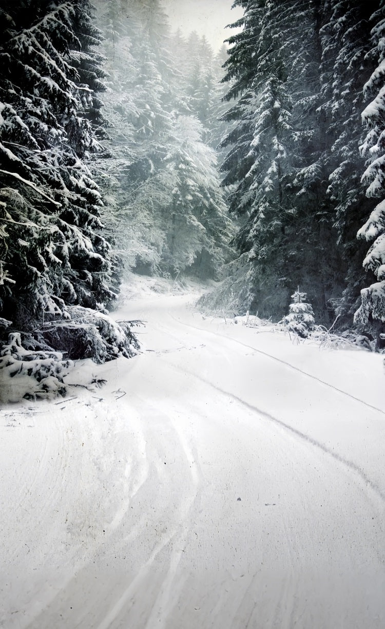 Winter Forest Sweep Serene Snow Path Backdrop BRP10-520