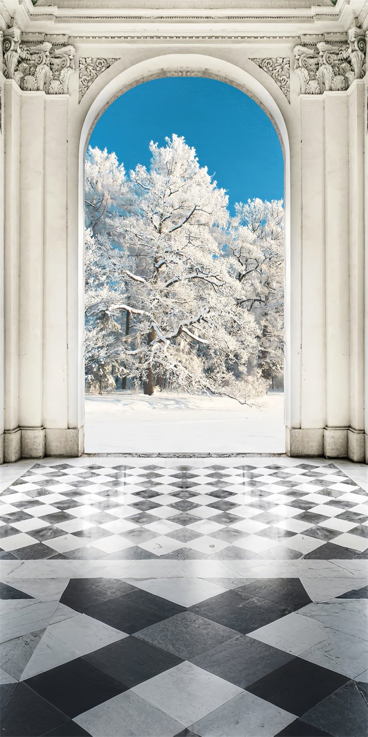 Grand Arch Sweep Snowy Forest Backdrop BRP10-536