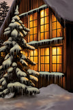 Winter Warm Light Shining Frosty Windows Backdrop BRP10-54