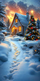 Christmas Cottage Sweep Warm Light Snowy Backdrop BRP10-554