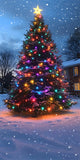 Christmas Tree Sweep Sparkling Lights Backdrop BRP10-559