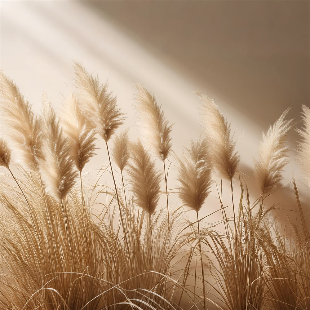 Simple Boho Soft Pampas Decor Backdrop BRP10-72