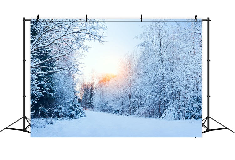 Winter Wonderland Backdrop Snowy Landscape Sunlight Backdrop BRP11-1