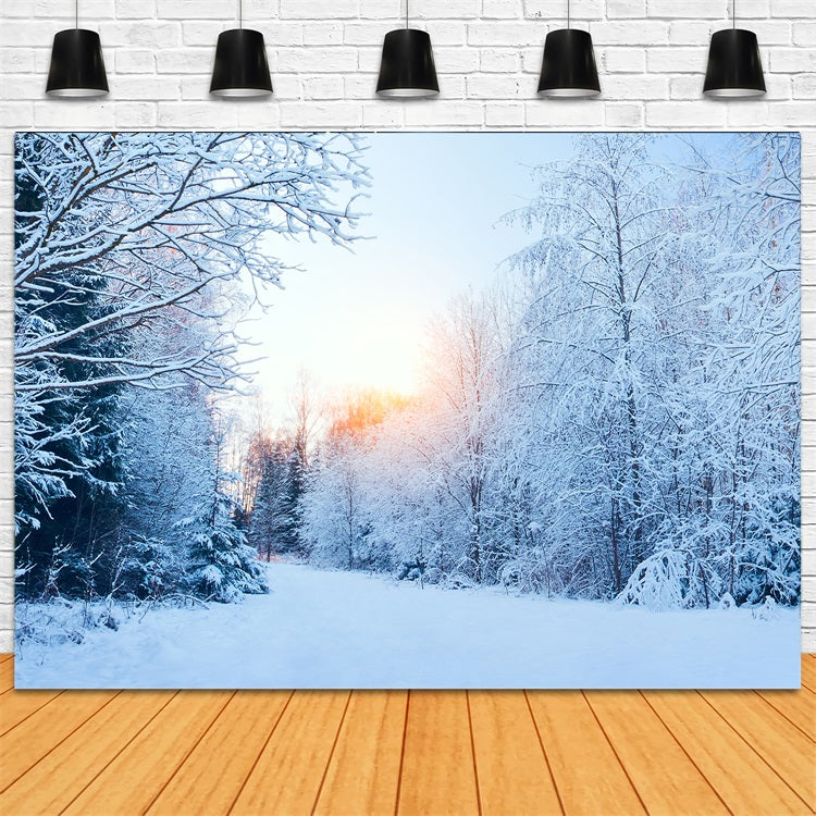 Winter Wonderland Backdrop Snowy Landscape Sunlight Backdrop BRP11-1