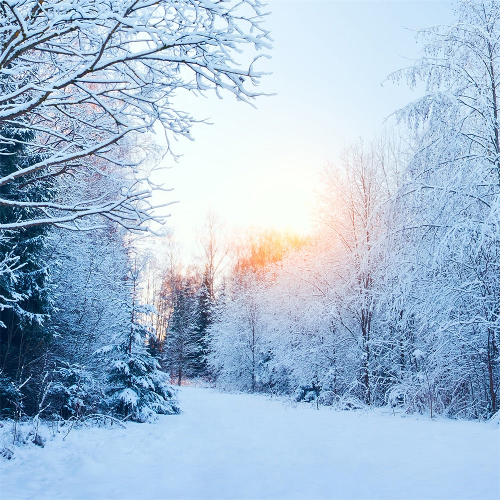 Winter Wonderland Backdrop Snowy Landscape Sunlight Backdrop BRP11-1