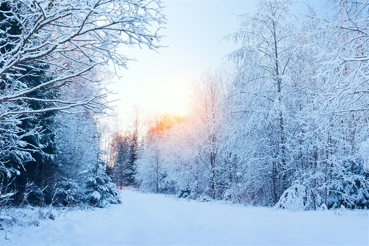 Winter Wonderland Backdrop Snowy Landscape Sunlight Backdrop BRP11-1