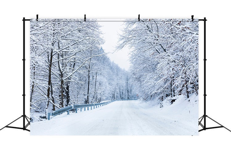 Winter Photo Backdrop Road Leading Frosty Forest Backdrop BRP11-10