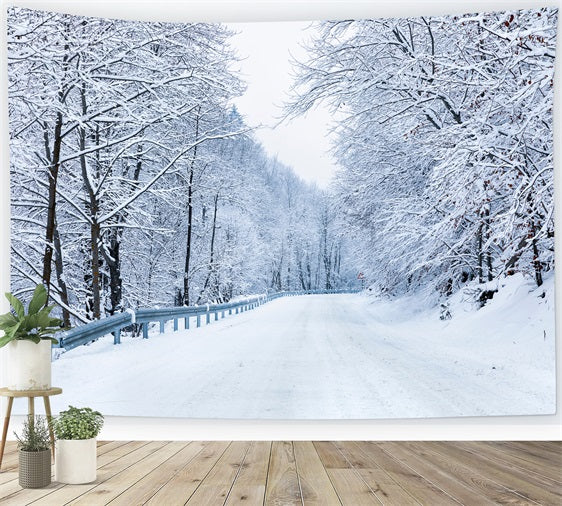 Winter Photo Backdrop Road Leading Frosty Forest Backdrop BRP11-10