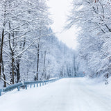 Winter Photo Backdrop Road Leading Frosty Forest Backdrop BRP11-10