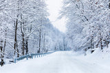 Winter Photo Backdrop Road Leading Frosty Forest Backdrop BRP11-10