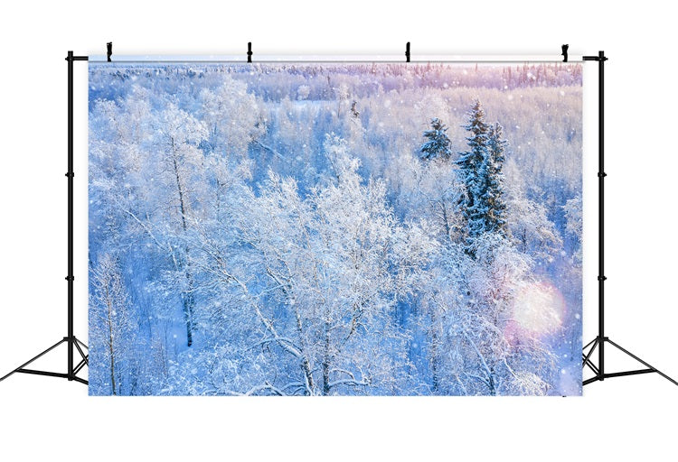 Winter Backdrop Photography Glittering Snowfall Backdrop BRP11-12