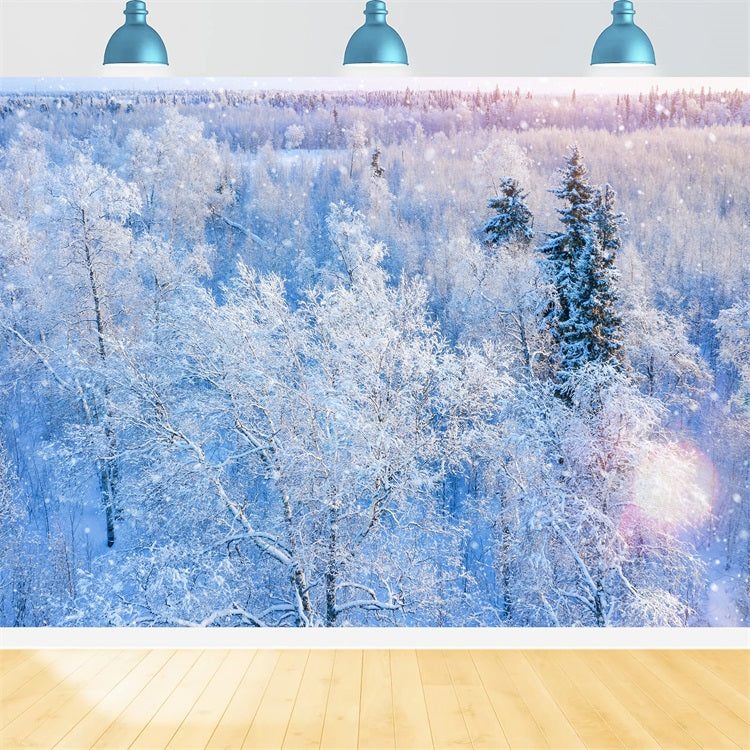 Winter Backdrop Photography Glittering Snowfall Backdrop BRP11-12