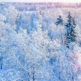 Winter Backdrop Photography Glittering Snowfall Backdrop BRP11-12