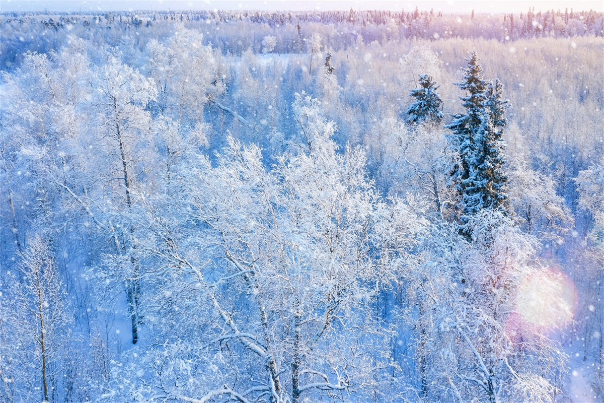 Winter Backdrop Photography Glittering Snowfall Backdrop BRP11-12