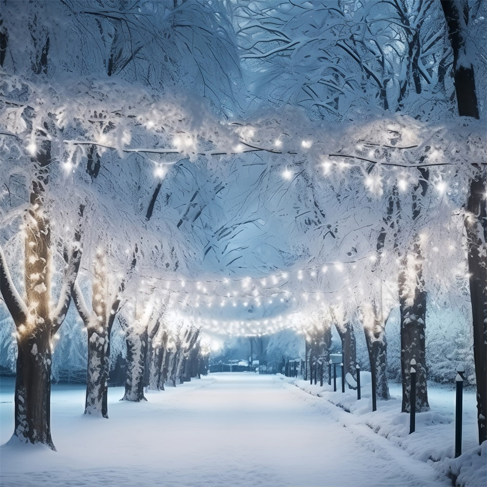 Backdrop Winter Wonderland Snowy Path Illuminated Lights Backdrop BRP11-15