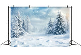 Winter Backdrop Ideas Fluffy Snowflakes Backdrop BRP11-18