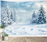 Winter Backdrop Ideas Fluffy Snowflakes Backdrop BRP11-18