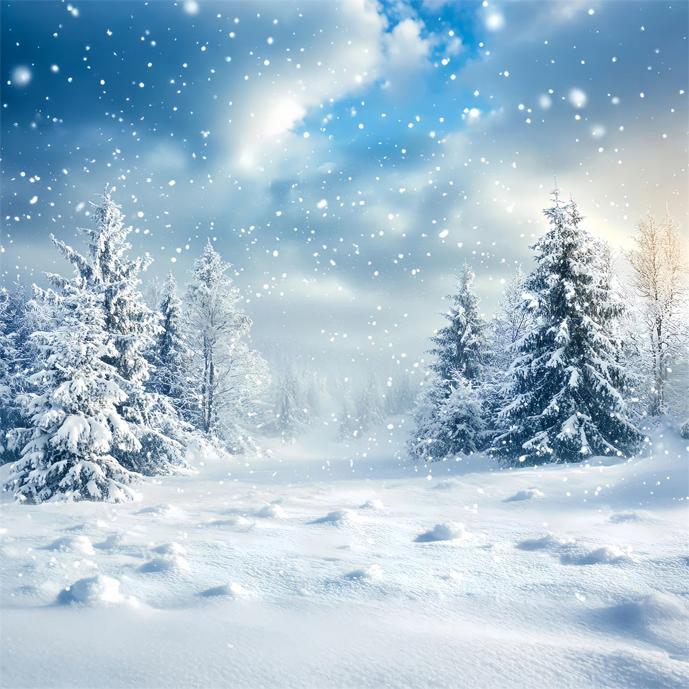 Winter Backdrop Ideas Fluffy Snowflakes Backdrop BRP11-18