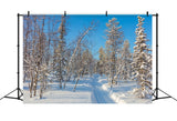 Winter Photo Backdrop Snowy Forest Clear Sky Backdrop BRP11-2