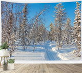 Winter Photo Backdrop Snowy Forest Clear Sky Backdrop BRP11-2