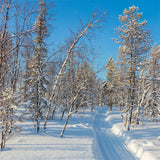 Winter Photo Backdrop Snowy Forest Clear Sky Backdrop BRP11-2