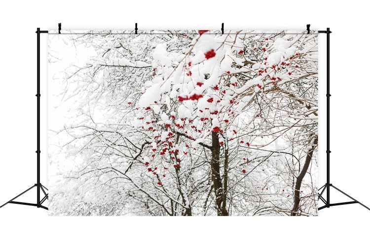 Winter Backdrops Photos Vibrant Red Berries Snow Backdrop BRP11-20