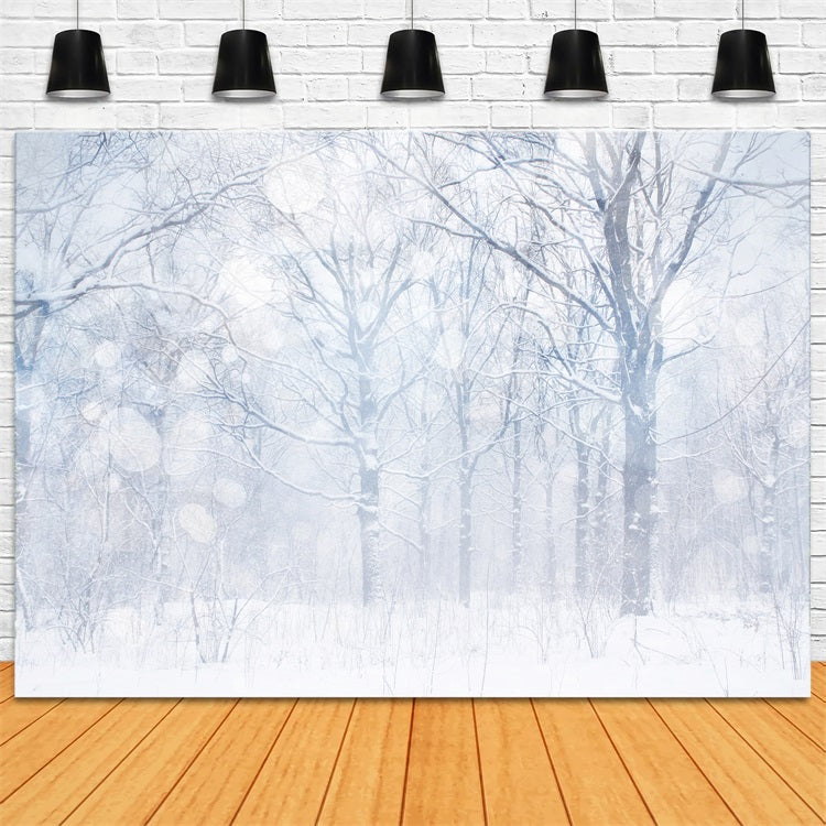 Photo Backdrop Winter Silvery White Frosted Grove Backdrop BRP11-21