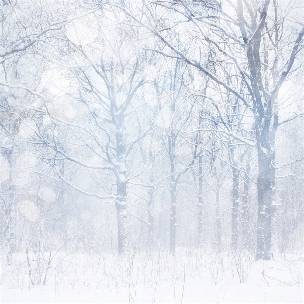 Photo Backdrop Winter Silvery White Frosted Grove Backdrop BRP11-21