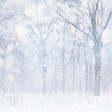 Photo Backdrop Winter Silvery White Frosted Grove Backdrop BRP11-21