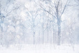 Photo Backdrop Winter Silvery White Frosted Grove Backdrop BRP11-21