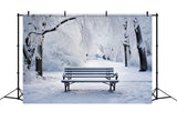 Winter Backdrops Photography Blissful Park Scene Bench Backdrop BRP11-23