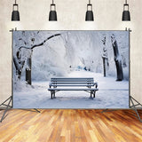 Winter Backdrops Photography Blissful Park Scene Bench Backdrop BRP11-23