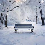 Winter Backdrops Photography Blissful Park Scene Bench Backdrop BRP11-23