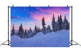 Winter Snow Backdrop Beautiful Sky Frosted Evergreens Backdrop BRP11-25