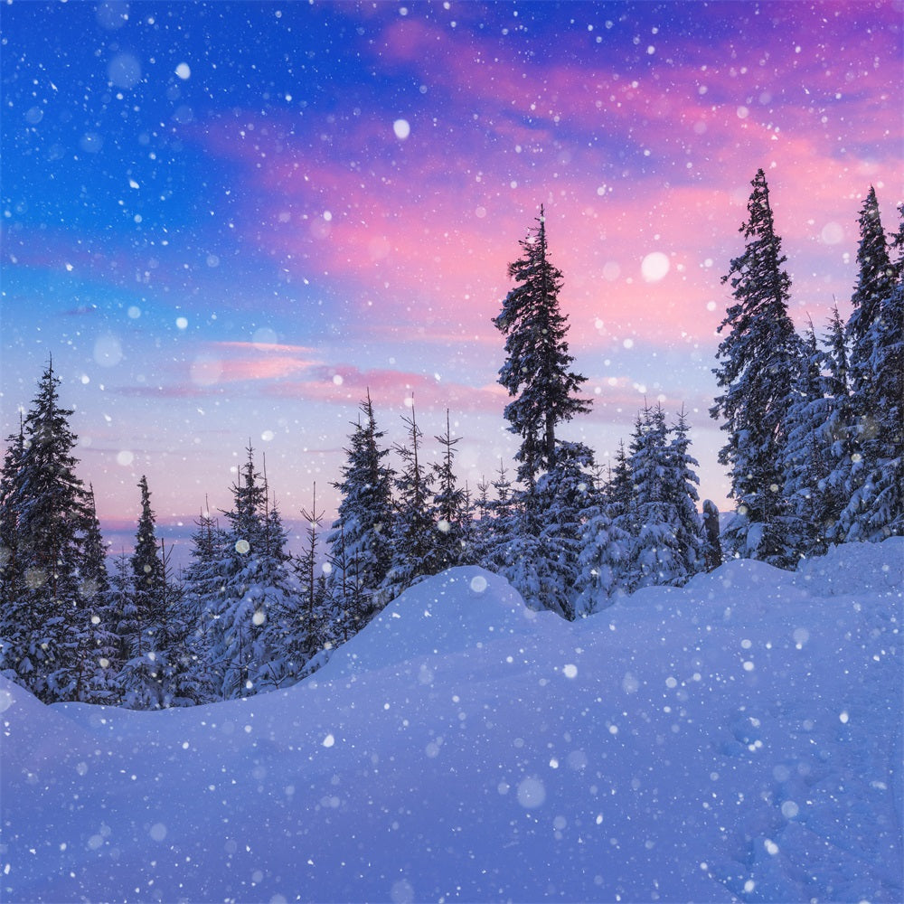 Winter Snow Backdrop Beautiful Sky Frosted Evergreens Backdrop BRP11-25