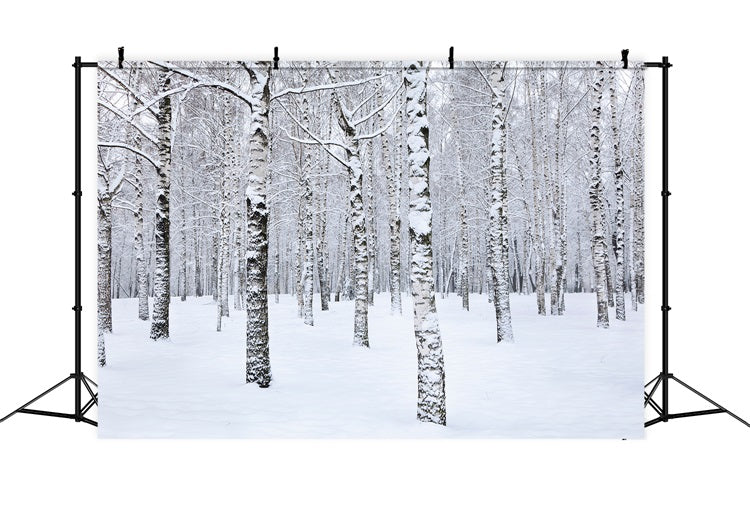 Winter Photo Backdrop Birch Trees Snowy Landscape Backdrop BRP11-26