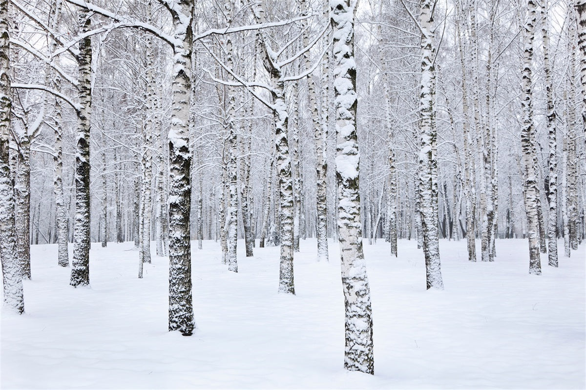 Winter Photo Backdrop Birch Trees Snowy Landscape Backdrop BRP11-26