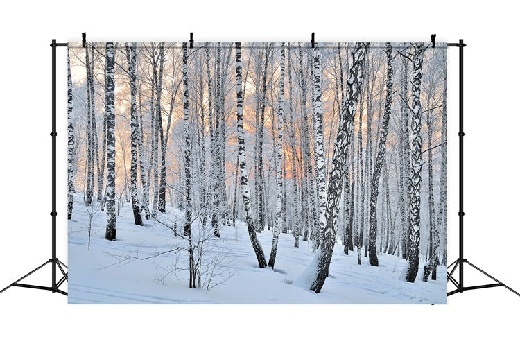 Winter Photo Backdrop Peaceful Dusk Birch Forest Backdrop BRP11-27