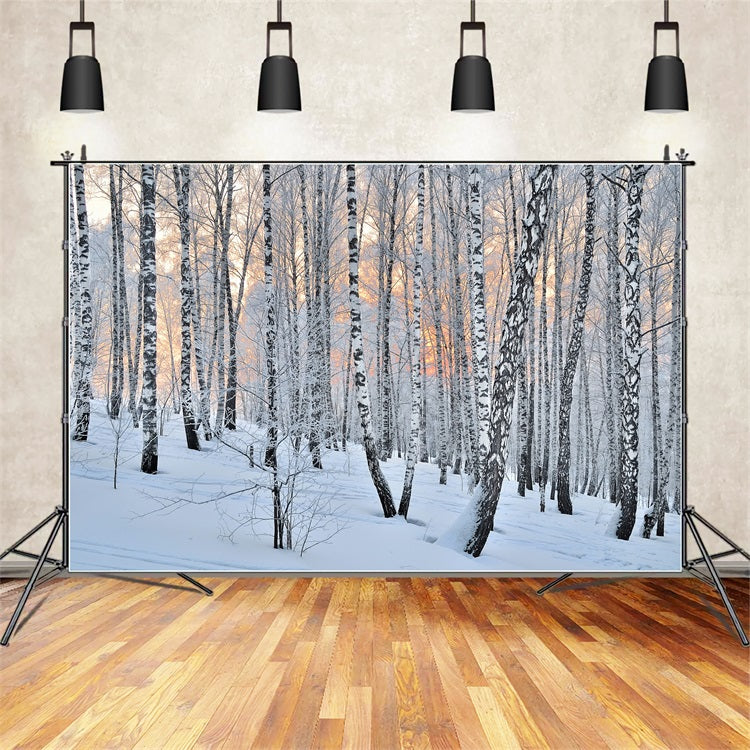 Winter Photo Backdrop Peaceful Dusk Birch Forest Backdrop BRP11-27