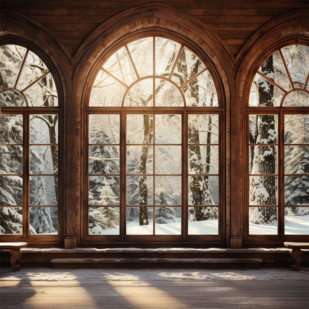 Winter Backdrop Scenes Sunlit Wooden Arched Window Backdrop BRP11-271