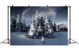 Winter Backdrop Magical Night Sky Frosty Evergreens Backdrop BRP11-28