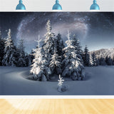 Winter Backdrop Magical Night Sky Frosty Evergreens Backdrop BRP11-28