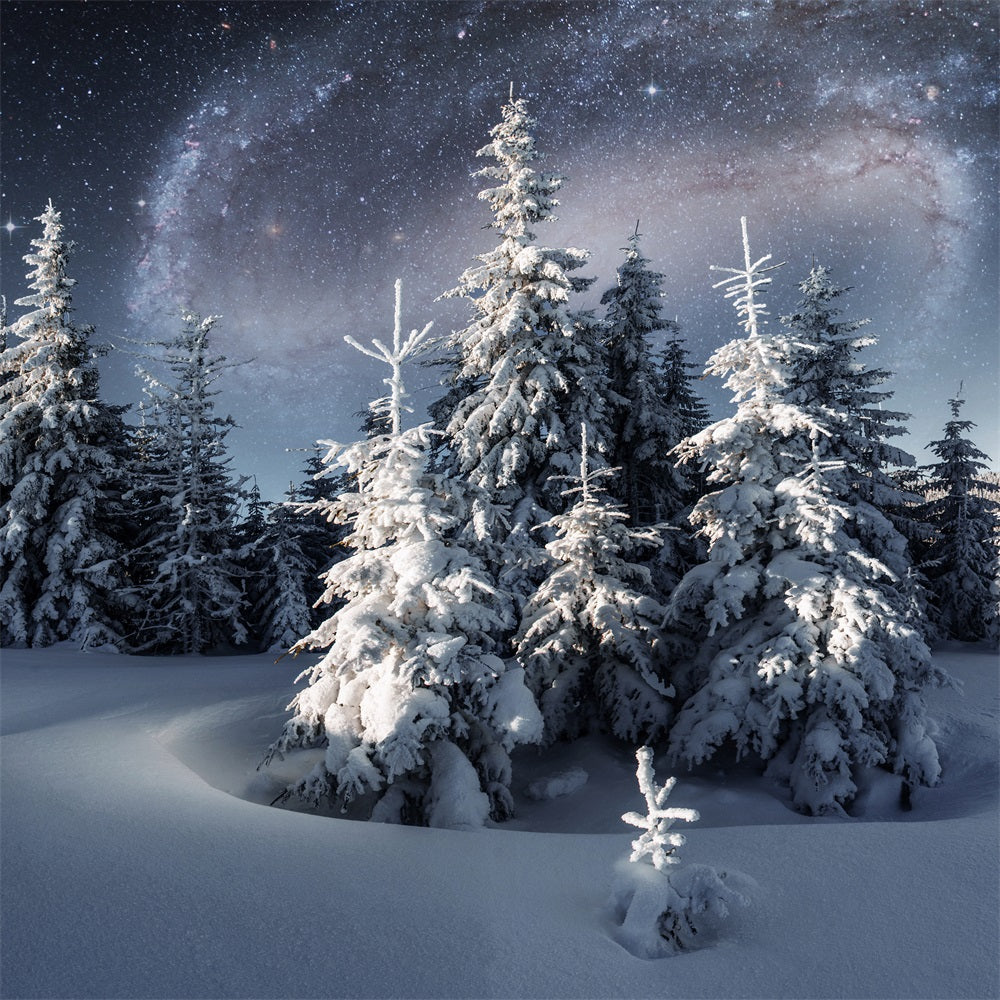 Winter Backdrop Magical Night Sky Frosty Evergreens Backdrop BRP11-28