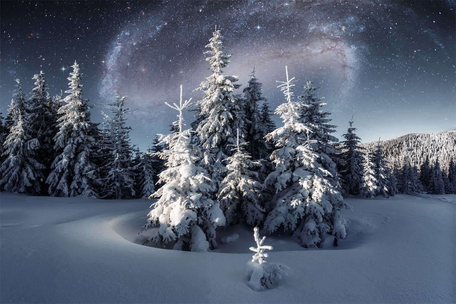 Winter Backdrop Magical Night Sky Frosty Evergreens Backdrop BRP11-28