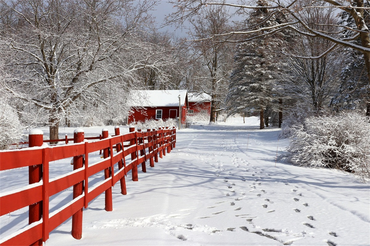 Winter Backdrops Rustic Red Barn Wonderland Backdrop BRP11-29