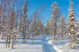 Winter Photo Backdrop Snowy Forest Clear Sky Backdrop BRP11-2