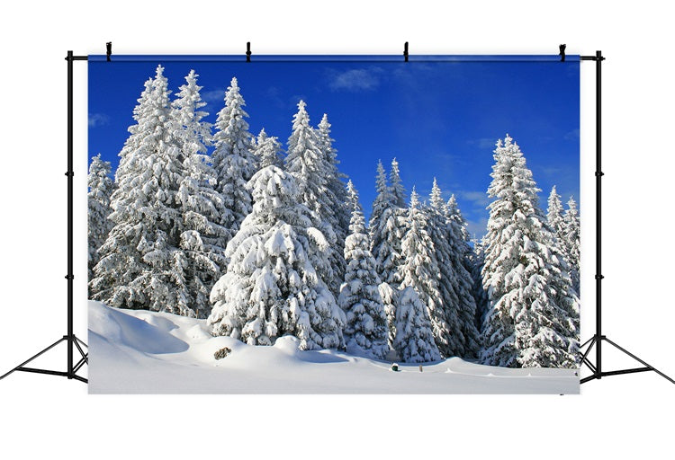 Winter Backdrop Frosted Trees Vibrant Sky Backdrop BRP11-3