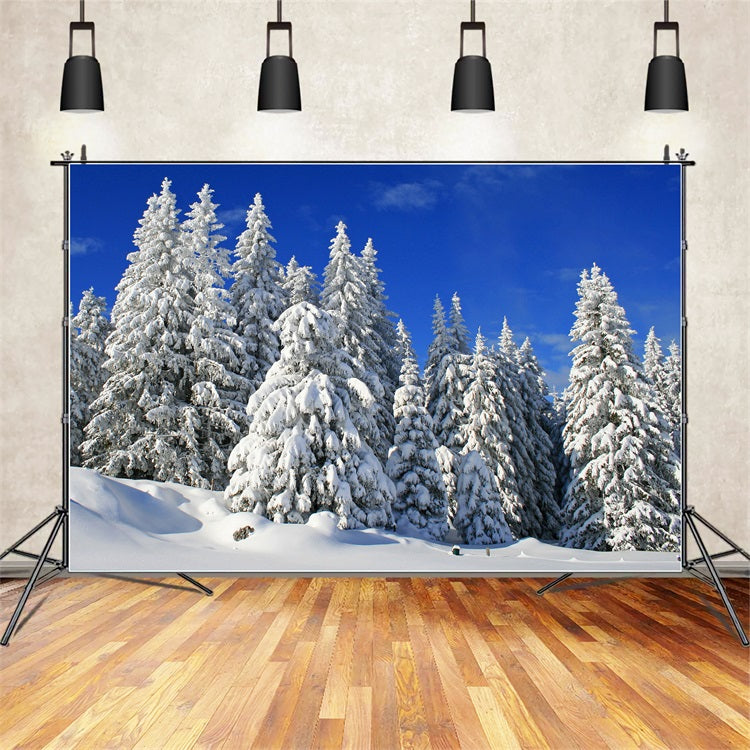 Winter Backdrop Frosted Trees Vibrant Sky Backdrop BRP11-3